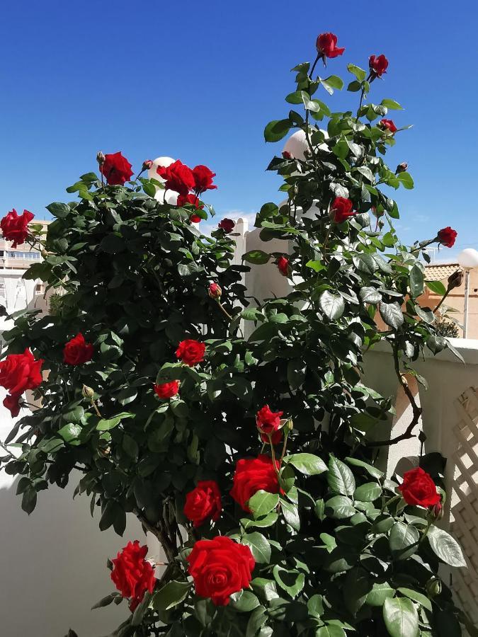 Apartamento Costamar Playa Arenales Del Sol Exterior foto